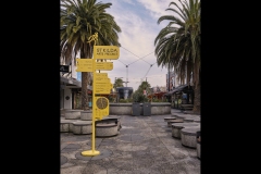 St Kilda Botanical Gardens Outing (Bob Clothier ©)