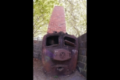 St Kilda Botanical Gardens Outing (Paul Palcsek ©)