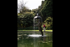 St Kilda Botanical Gardens Outing (Lisa Xu ©)