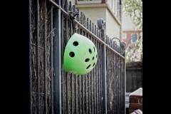 St Kilda Botanical Gardens Outing (Jim O'Donnell ©)