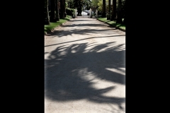 St Kilda Botanical Gardens Outing (Jim Weatherill ©)