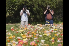 St Kilda Botanical Gardens Outing (Bob Clothier ©)