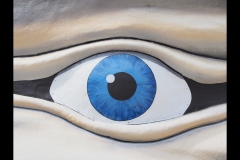 St Kilda Botanical Gardens Outing (Paul Palcsek ©)