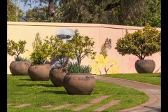 St Kilda Botanical Gardens Outing (David Dyett ©)