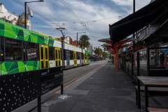 St Kilda Botanical Gardens Outing (David Davidson ©)