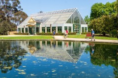 St Kilda Botanical Gardens Outing (Alan Scott ©)