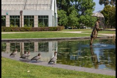 St Kilda Botanical Gardens Outing (David Dyett ©)