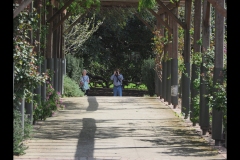 St Kilda Botanical Gardens Outing (Paul Palcsek ©)