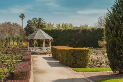 St Kilda Botanical Gardens Outing (David Dyett ©)
