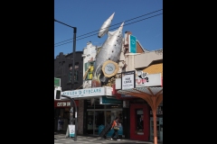 St Kilda Botanical Gardens Outing (Paul Palcsek ©)