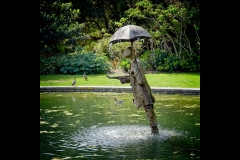 St Kilda Botanical Gardens Outing (Jim O'Donnell ©)