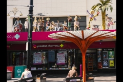 St Kilda Botanical Gardens Outing (Lisa Xu ©)