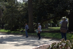 St Kilda Botanical Gardens Outing (Sara Wigney ©)