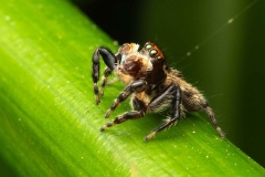 St Kilda Botanical Gardens Outing (Nicole Andrews ©)