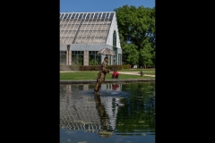 St Kilda Botanical Gardens Outing (David Davidson ©)