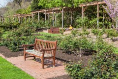 St Kilda Botanical Gardens Outing (David Dyett ©)