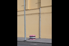 St Kilda Botanical Gardens Outing (Paul Palcsek ©)