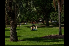 St Kilda Botanical Gardens Outing (David Davidson ©)