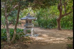 St Kilda Botanical Gardens Outing (David Dyett ©)