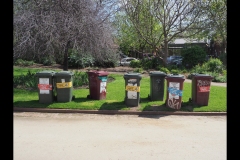 St Kilda Botanical Gardens Outing (Paul Palcsek ©)