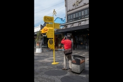 St Kilda Botanical Gardens Outing (David Davidson ©)