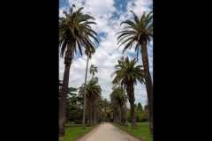 St Kilda Botanical Gardens Outing (Lisa Xu ©)