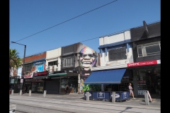 St Kilda Botanical Gardens Outing (Paul Palcsek ©)