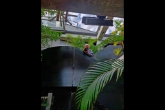 St Kilda Botanical Gardens Outing (Paul Palcsek ©)