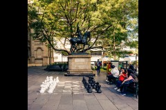 State Library (Rob Lewis ©)