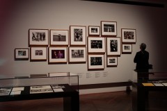 State Library (Mike Lewis ©)