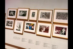 State Library (Jim O'Donnell ©)