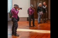 State Library (Jim Weatherill ©)