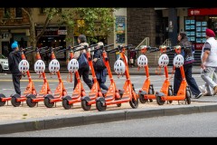 State Library (Jim Weatherill ©)