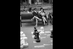 State Library (Terry Noske ©)