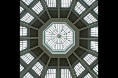 State Library Outing (Robin Tulley ©)