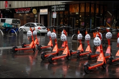 State Library Outing (Lisa Xu ©)