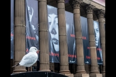 State Library Outing (Jim Weatherill ©)