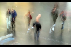 State Library Outing (Carolyn Brandt ©)