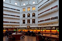 State Library Outing (Gerry Silk ©)