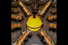 State Library Outing (Robin Tulley ©)