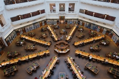 State Library Outing (Vitas Anderson ©)