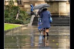 State Library Outing (Bob Clothier ©)