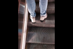 State Library Outing (Paul Palcsek ©)