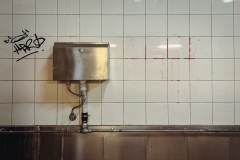 State Library Outing (Vitas Anderson ©)