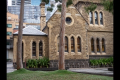 State Library Outing (Marg Huxtable ©)