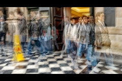 State Library Outing (Carolyn Brandt ©)