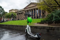 State Library Outing (Lisa Xu ©)