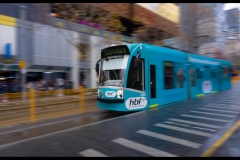 State Library Outing (Rong Kwok-Xu ©)