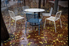 State Library Outing (Jim Weatherill ©)