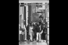 State Library Outing (Aziz Yacoub ©)